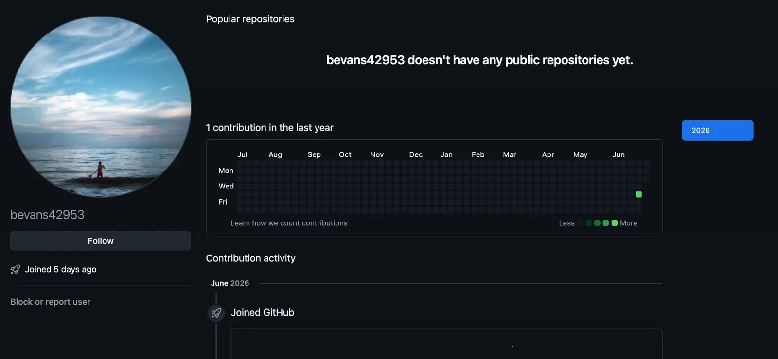 All publisher GitHub accounts show the same pattern like this bevans42953 profile with a stock photo, showing no public repositories and a recent join date